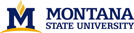 Montana State University in USA